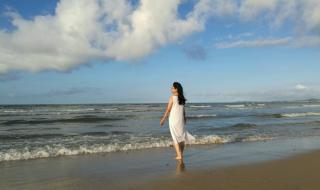 养马岛旅游攻略