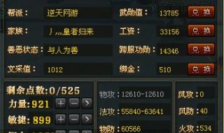 御龙在天卡经验 御龙在天卡经验