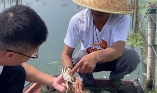 阳澄湖开湖时间2021