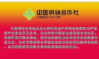 中国供销合作社 中国供销合作社