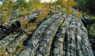 五大连池矿泉水 五大连池矿泉水