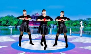 舞动青春广场舞 舞动青春广场舞