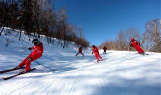 亚布力滑雪场酒店 亚布力滑雪场酒店