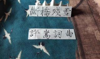 wap歌词中文翻译完整