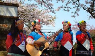 彩虹张惠妹 彩虹张惠妹