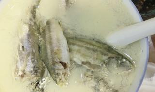 广东海滩现大量海虾 广东海滩现大量海虾