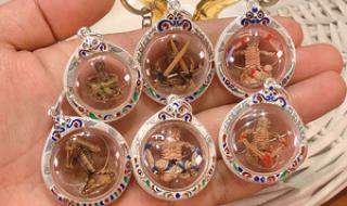 泰国bee资料 泰国bee资料