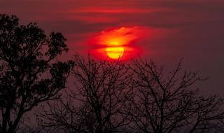 最美的姿态 最美的姿态