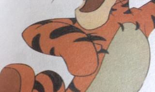 小熊历险记 小熊历险记