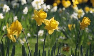 九月再见十月你好图片 九月再见十月你好图片