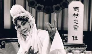 秦雪梅吊孝全集 秦雪梅吊孝全集