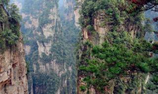 张家界自由行5天攻略 张家界自由行5天攻略