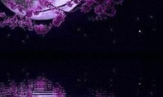 月圆人团圆 月圆人团圆