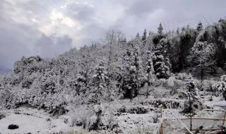 元旦出行天气指南