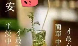 早上好图片最新大图 早上好图片最新大图