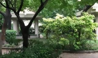 ladiesandgentlemen ladiesandgentlemen