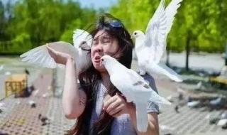 下雪发的朋友圈简单 下雪发的朋友圈简单