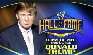 美国职业摔角wwe2013