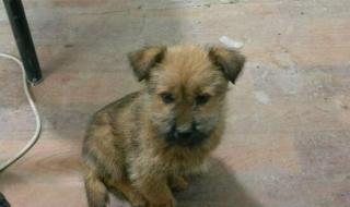 生命要继续歌词 生命要继续歌词