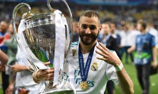 本泽马因伤无缘世界杯