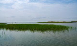 上海周边自驾一日游