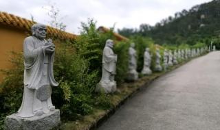 厦门石室禅院 厦门石室禅院