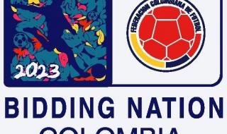 2019女足世界杯名额