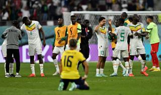 厄瓜多尔与塞内加尔 厄瓜多尔与塞内加尔