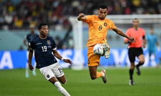 卡塔尔世界杯出局球队 卡塔尔世界杯出局球队